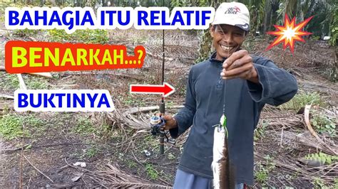 Bahagia Tetangga Casting Ikan Gabus Di Bawah Luapan Sawit