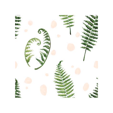 Fern clipart watercolor, Fern watercolor Transparent FREE for download on WebStockReview 2024