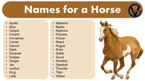 200 Best Horse Names Unique Classic Strong And Playful Options