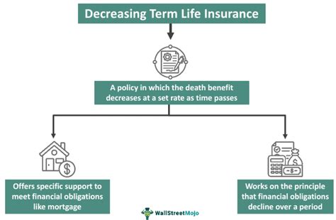 Decreasing Term Life Insurance What Is It Examples Advantages