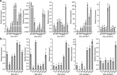 Gene Expression Patterns In Different Organs And Developmental Periods Download Scientific