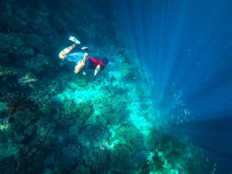 Snorkeling At Indonesia S Spectacular Raja Ampat Islands In Photos