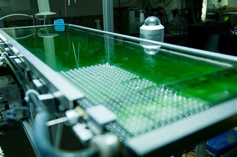 ESA Experimenting With Microalgae