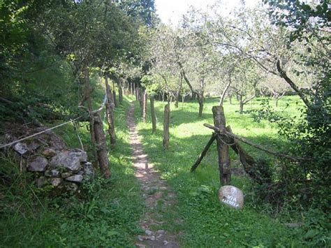 From Oviedo To San Juan De Villapa Ada Camino De Santiago