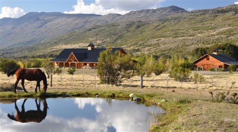 Cattle Ranch In Argentina