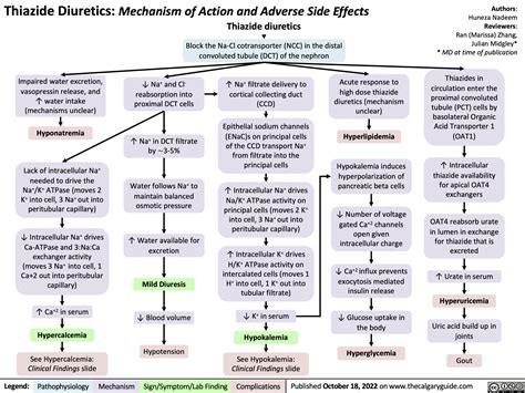 Thiazide Diuretics: Mechanism of Action and Adverse Side Effects