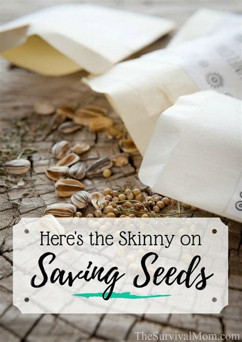 Here S The Skinny On Saving Seeds Survival Mom