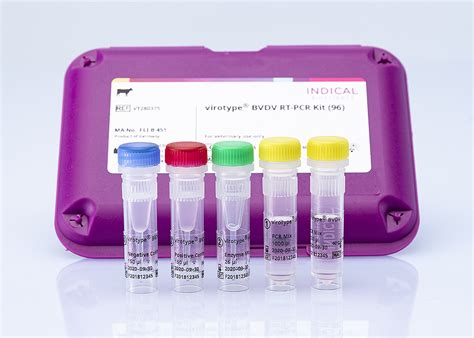 INDICAL BIOSCIENCE Virotype BVDV RT PCR Kit 96 Reactions Online Shop