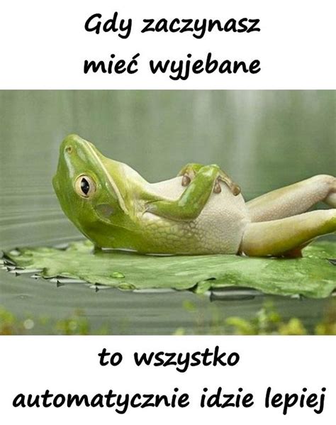 Mieszne Obrazki Stres Memy Mieszne Kwejk Mieszne Teksty