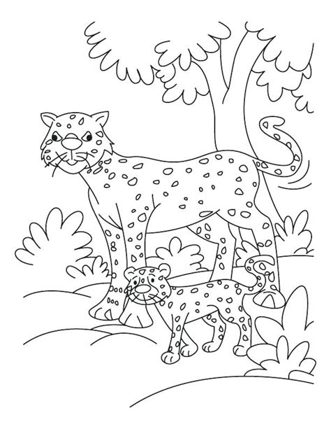 Cheetah Running Coloring Pages at GetDrawings | Free download