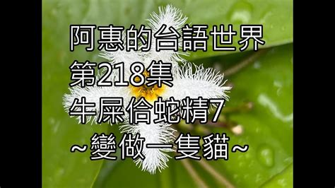 阿惠的台語世界218牛屎佮蛇精7變做一隻貓台語笑話台語俗諺台語認證考試 Youtube