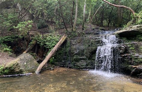 Best Hikes And Trails In Sawnee Mountain Preserve Alltrails