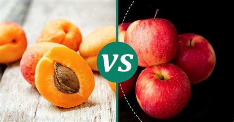 Apple Vs Apricot Nutrition Guide