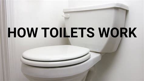 How Toilets Work Youtube