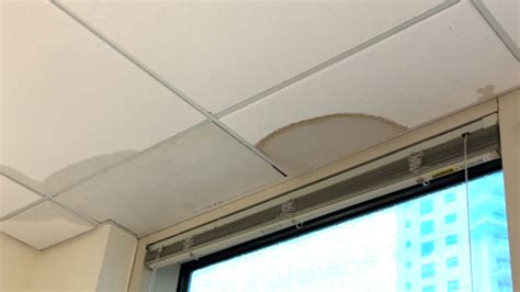 Water Intrusion Property Damage Claims In Fort Lauderdale Triumph