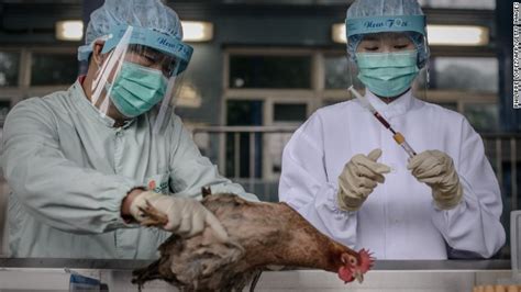 Una Mutación Del Virus Aviar H7n9 Lo Hace Proclive Al Contagio Humano Cnn