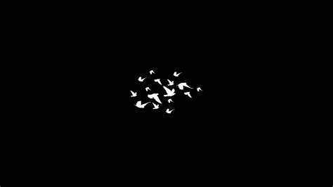 1366x768 Birds Flying Minimalist Dark 4k 1366x768 Resolution HD 4k ...