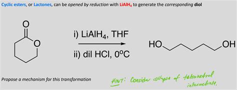 Solved Cyclic Esters Or Lactones Can Be Opened By Chegg