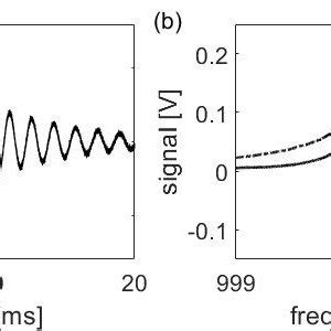 (a) Free-induction decay. Magnetometer signal S(t) after a short square ...