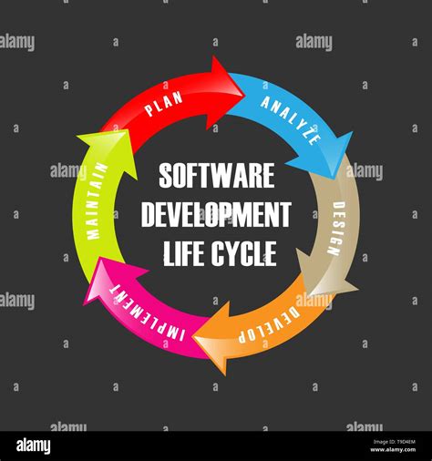 Ciclo De Vida De Desarrollo De Software Vector Muestra Las