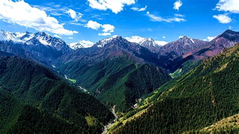 祁连山国家公园张掖分局生态文化系列 人文篇20 中国自然保护区生物标本资源共享平台