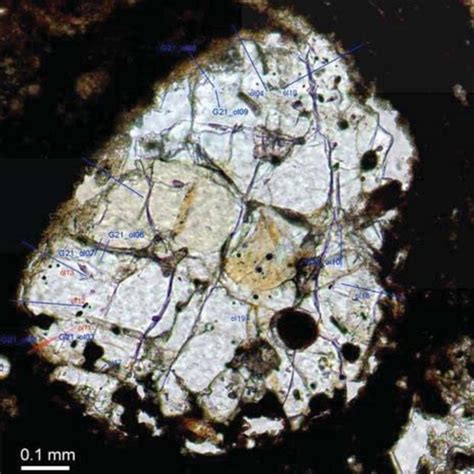 The analyzed chondrule's image with 1N in optical microscope ...