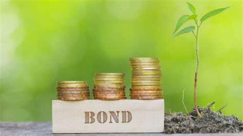 Abn Amro Leads In Sustainable Finance With Updated Green Bond Framework