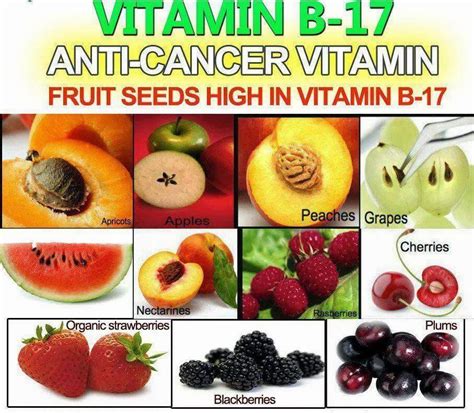 Vitamin B In Seeds And Fruit Sant Nutrition