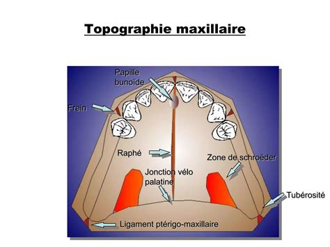 Les Indices Biologiques Pdf