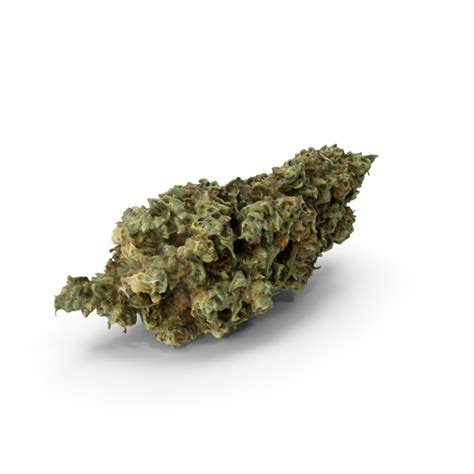 Cannabis Bud PNG Images & PSDs for Download | PixelSquid - S111686873