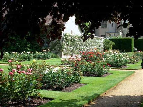 Anglesey Abbey - England - Gardens, Parks, Squares and Open Spaces - Presented by PlantsGalore.Com