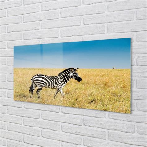 Tulup Pl Obraz Akrylowy Zebra Pole 100x50 Cm 4 Zawieszki OAH28197405