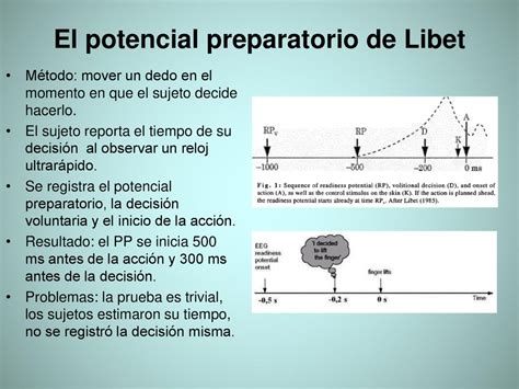 Curso Neurociencia Cognitiva Voluntad Ppt Descargar