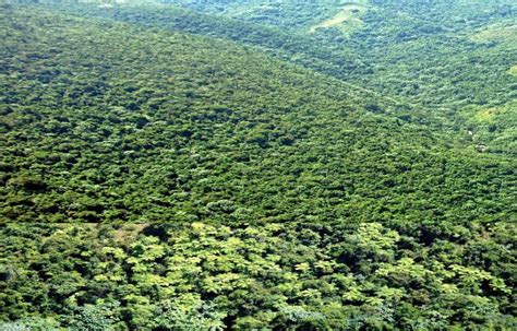 El Planeta Pierde Doce Millones De Hect Reas De Tierras Productivas Al