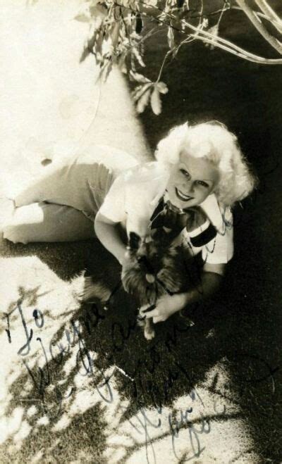 Jean Harlow Shrine Jean Harlow Harlow Hollywood Legends