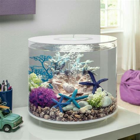 Pin By Serpil Serdar On Very Peri Fish Aquarium Decorations Fish