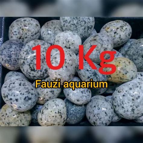 Jual BATU HIAS KORAL TELUR PUYUH 10KG KARUNG Shopee Indonesia