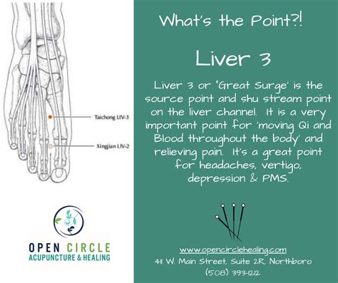 Liver Acupressure Point Acupressure Points Acupuncture Points