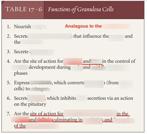 Functions of Granulosa Cells Diagram | Quizlet