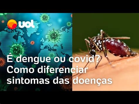 Bet Dengue Ou Covid Como Diferenciar Sintomas Das Viroses Em