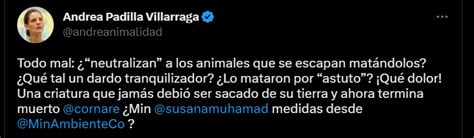 Senadora Cuestionó Con Dureza El Protocolo Que Terminó En El Sacrificio