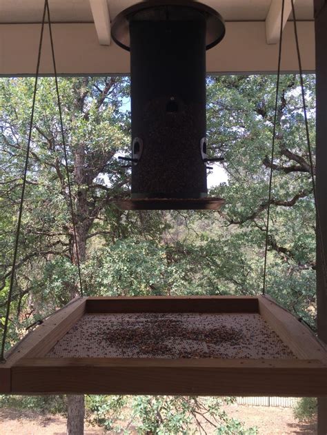 Pin By Cynthia Elder On For The Birds Bird Feeder Station Bird