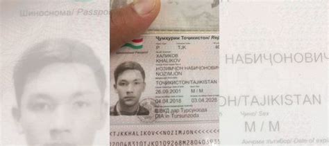 Потерян паспорт купить в Санкт-Петербурге | Хобби и отдых | Авито
