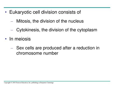 Chapter 12 The Cell Cycle Ppt Download