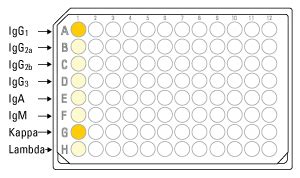 RapidGet ELISA Mouse Antibody Isotyping Kit Creative Diagnostics