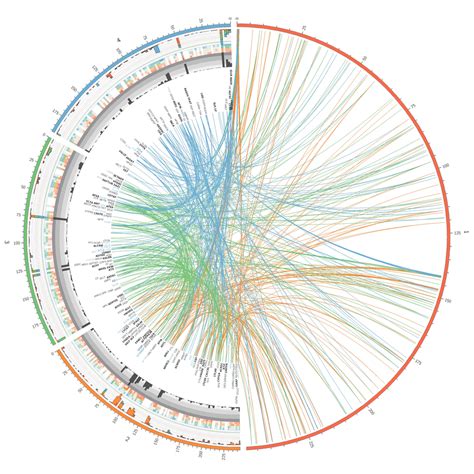 Tutorial Images Circos Circular Genome Data Visualization