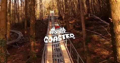 Everything You Need To Know About Zip Worlds New Fforest Coaster