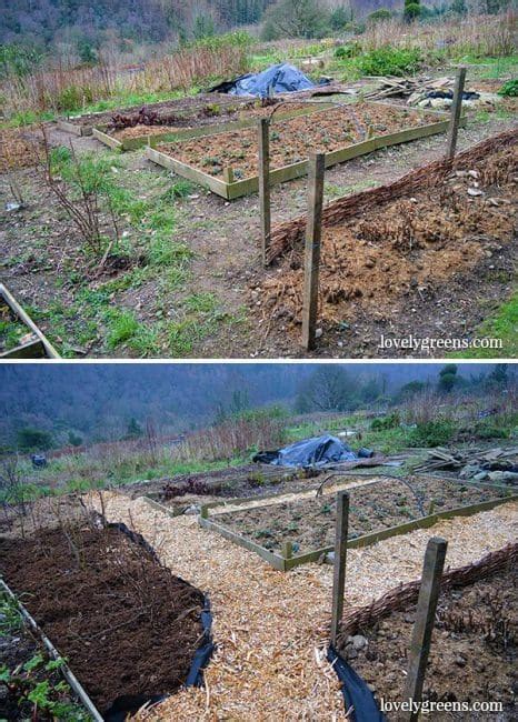 How To Make A Garden Path With Wood Chips Garden Likes