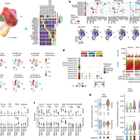 Site Specificity Of Immunophenotypes A Umap Plot Of T And Nk Cell