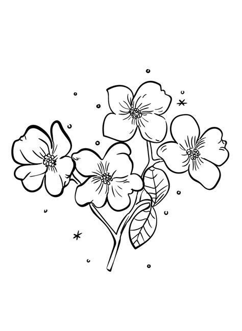 Flowers Printable Coloring Pages